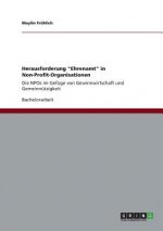 Herausforderung Ehrenamt in Non-Profit-Organisationen