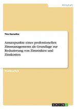 Ansatzpunkte eines professionellen Zinsmanagements als Grundlage zur Reduzierung von Zinsrisiken und Zinskosten