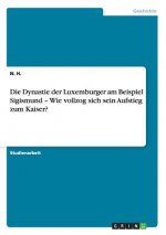 Dynastie der Luxemburger am Beispiel Sigismund - Wie vollzog sich sein Aufstieg zum Kaiser?