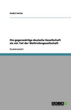 gegenwartige deutsche Gesellschaft als ein Teil der Weltrisikogesellschaft