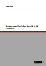 Bilanzrechtliche Probleme des Jahresabschlusses einer GmbH & Co KG