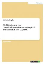 Bilanzierung von Umweltschutzmassnahmen - Vergleich zwischen HGB und IAS/IFRS