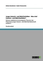 Junge Intensiv- und Mehrfachtater - Was sind Intensiv- und Mehrfachtater?