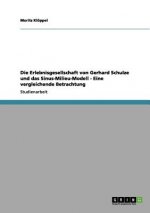 Erlebnisgesellschaft Von Gerhard Schulze Und Das Sinus-Milieu-Modell