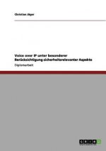 Voice over IP unter besonderer Berucksichtigung sicherheitsrelevanter Aspekte