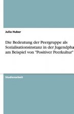 Bedeutung der Peergruppe als Sozialisationsinstanz in der Jugendphase am Beispiel von 