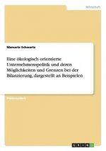 Eine  kologisch Orientierte Unternehmenspolitik Und Deren M glichkeiten Und Grenzen Bei Der Bilanzierung, Dargestellt an Beispielen