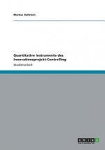 Quantitative Instrumente Des Innovationsprojekt-Controlling