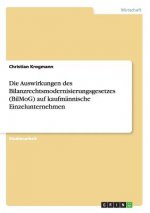 Auswirkungen des Bilanzrechtsmodernisierungsgesetzes (BilMoG) auf kaufmannische Einzelunternehmen