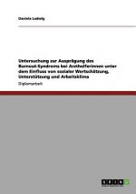 Untersuchung zur Auspragung des Burnout-Syndroms bei Arzthelferinnen unter dem Einfluss von sozialer Wertschatzung, Unterstutzung und Arbeitsklima