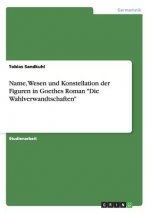Name, Wesen und Konstellation der Figuren in Goethes Roman Die Wahlverwandtschaften