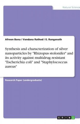 Synthesis and characterization of silver nanoparticles by Rhizopus stolonifer and its activity against multidrug resistant Escherichia coli and Staphy