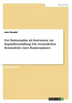 Businessplan ALS Instrument Zur Kapitalbeschaffung