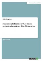 Moderatoreffekte in der Theorie des geplanten Verhaltens - Eine Metaanalyse