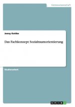 Fachkonzept Sozialraumorientierung