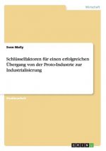 Schlusselfaktoren fur einen erfolgreichen UEbergang von der Proto-Industrie zur Industrialisierung