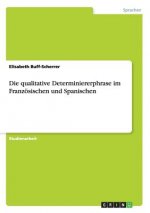 qualitative Determiniererphrase im Franzoesischen und Spanischen