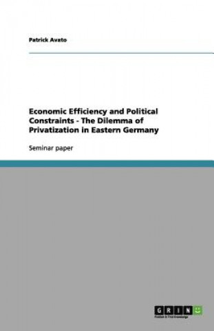 Economic Efficiency and Political Constraints - The Dilemma of Privatization in Eastern Germany