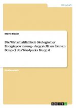 Wirtschaftlichkeit oekologischer Energiegewinnung - dargestellt am fiktiven Beispiel des Windparks Murgtal