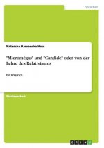 Micromegas und Candide oder von der Lehre des Relativismus