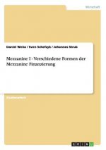 Mezzanine I - Verschiedene Formen der Mezzanine Finanzierung