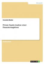 Private Equity-Analyse einer Finanzierungsform