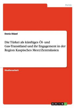 Turkei als kunftiges OEl- und Gas-Transitland und ihr Engagement in der Region Kaspisches Meer/Zentralasien