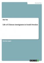 Life of Chinese immigrants in South Sweden
