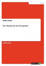 Der Bundesrat als Vetospieler