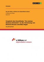 Vergleich des Kunstliedes 