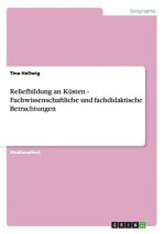 Reliefbildung an Kusten - Fachwissenschaftliche und fachdidaktische Betrachtungen