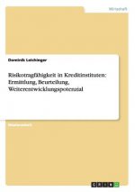 Risikotragfahigkeit in Kreditinstituten