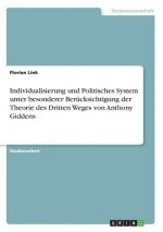 Individualisierung und Politisches System unter besonderer Berücksichtigung der Theorie des Dritten Weges von Anthony Giddens