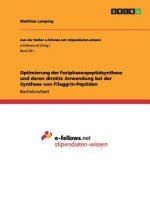 Optimierung der Festphasenpeptidsynthese und deren direkte Anwendung bei der Synthese von Filaggrin-Peptiden