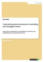 Unternehmenswertorientiertes Controlling und Intangible Assets