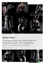 Trainingsplanung eines Makrozyklus fur Krafttraining eines Trainingsbeginners