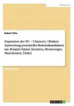 Expansion der EU -  Chancen / Risiken Auswertung potentieller Beitrittskandidaten am Beispiel Island, Kroatien, Montenegro, Mazedonien, Türkei