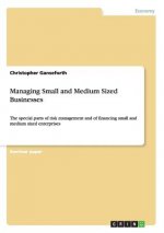 Managing Small and Medium Sized Businesses