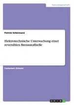 Elektrotechnische Untersuchung einer reversiblen Brennstoffzelle
