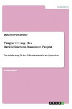 Yangtse Chiang. Das Drei-Schluchten-Staudamm Projekt