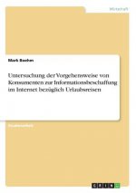 Untersuchung der Vorgehensweise von Konsumenten zur Informationsbeschaffung im Internet bezuglich Urlaubsreisen