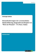 Herausforderungen der crossmedialen Markenfuhrung, dargestellt am Beispiel von Welt der Wunder - TV, Print, Online