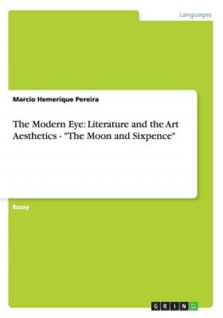 The Modern Eye: Literature and the Art Aesthetics - 