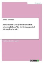 Bericht zum Geohydrochemischen Laborpraktikum im Vertiefungsmodul Geohydrochemie