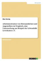 Arbeitsmotivation von Ehrenamtlichen und Angestellten im Vergleich, eine Untersuchung am Beispiel der Lebenshilfe Leverkusen e.V.