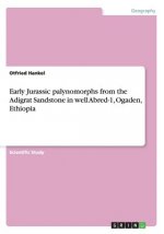 Early Jurassic palynomorphs from the Adigrat Sandstone in well Abred-1, Ogaden, Ethiopia