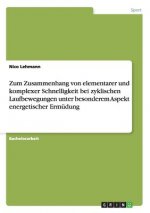 Zum Zusammenhang von elementarer und komplexer Schnelligkeit bei zyklischen Laufbewegungen unter besonderem Aspekt energetischer Ermudung