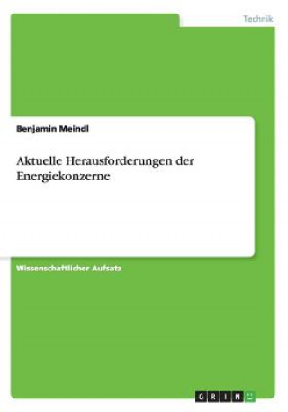 Aktuelle Herausforderungen der Energiekonzerne