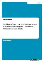 Plattenfirma - ein Vergleich zwischen Kundenorientierung der Labels und Bedurfnissen von Bands