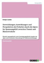 Entwicklungen, Auswirkungen und Perspektiven des Verkehrs durch die Alpen